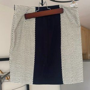 Ann Taylor Loft Skirt